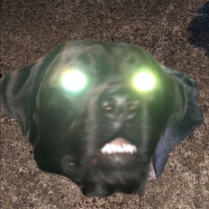 Meet your Posher, Jay